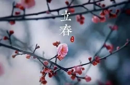 农历戊戌狗年为“单春年”　全年只有一个“立春日”