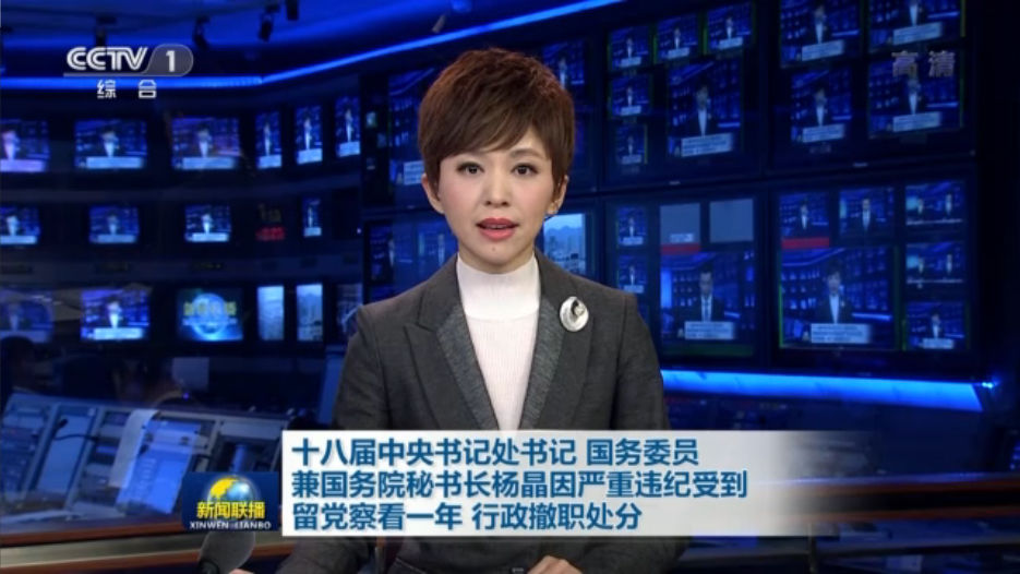 国务委员兼国务院秘书长杨晶因严重违纪被撤职