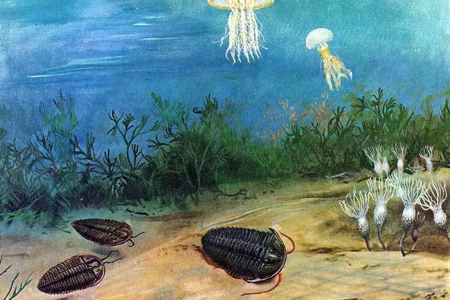 中科院一项研究表明：最早的陆地植物起源于5亿年前