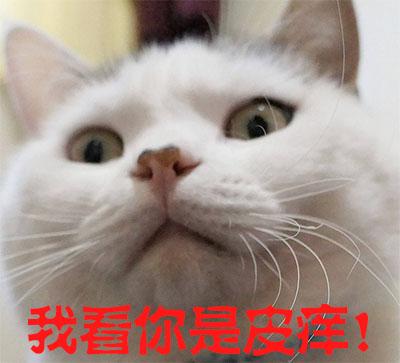 在一个“气性大”的社会里如何安全地活着(图)