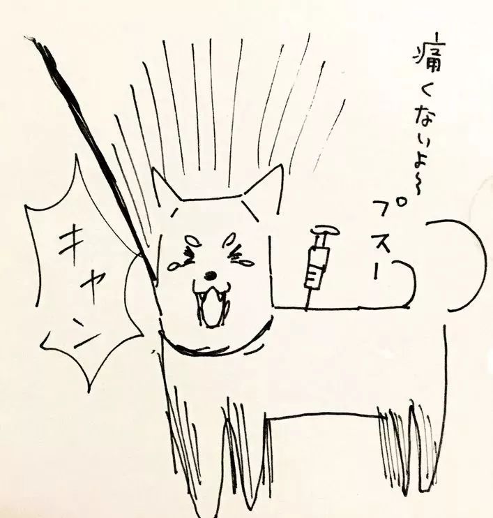 日本人几乎不打狂犬疫苗 为啥60年来没一起病例(图)