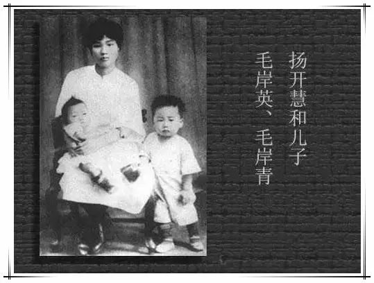 （为了民族复兴·英雄烈士谱）杨开慧：“牺牲我小，成功我大”