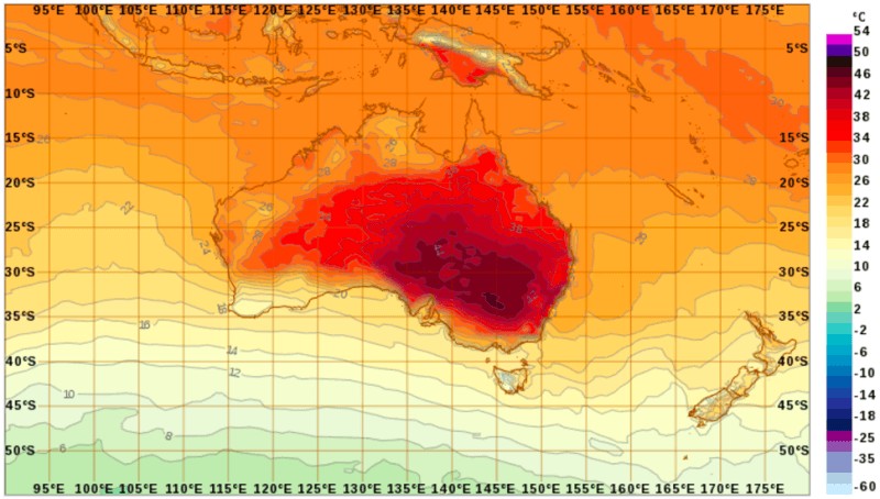 澳洲多地近50℃如地狱 100岁巨鱼竟热死