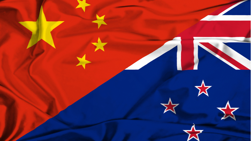 新西兰国防部长访问中国