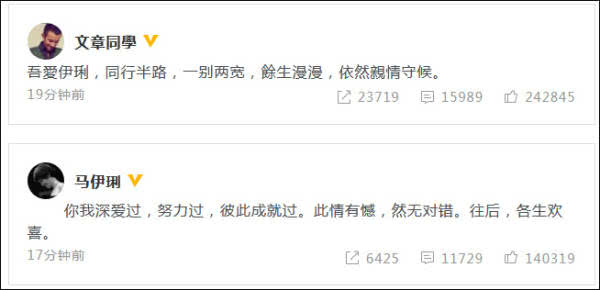 文章马伊琍发文宣布离婚
