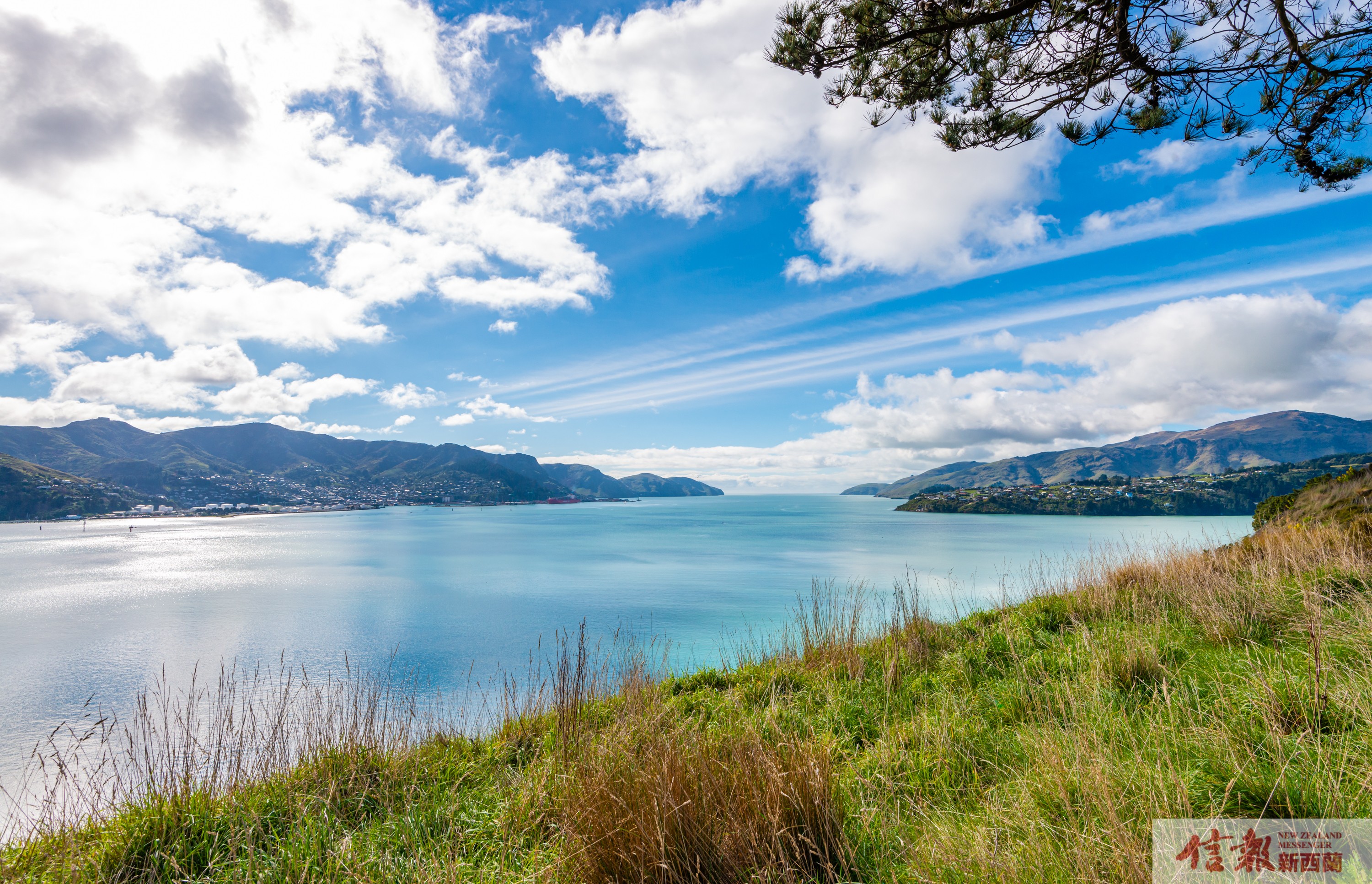 鹌鹑岛（Quail Island）半日探险游