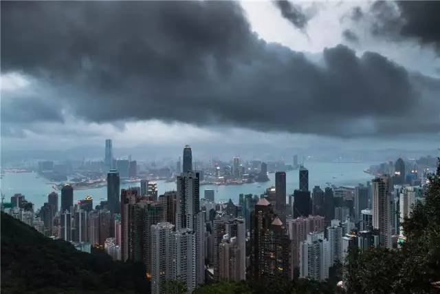21年前的那场风暴,让每个香港人都赔了100万(组图)