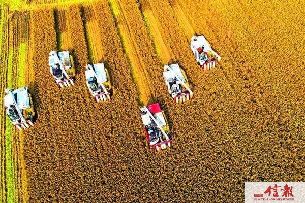 维护粮食安全 中国居安思危