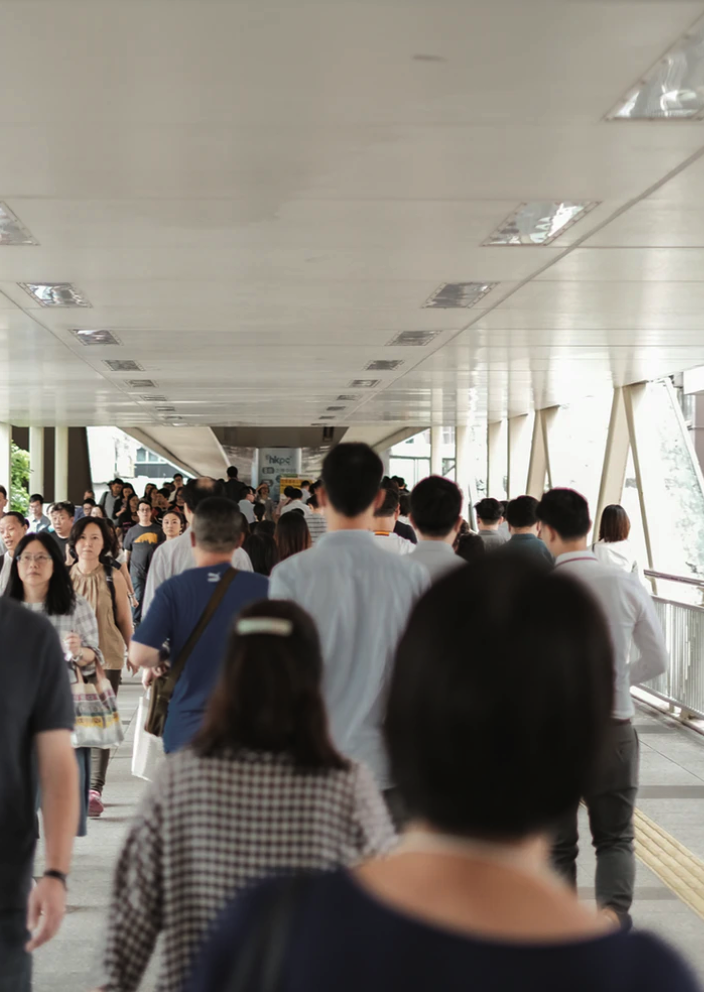 新西兰净移民率仍然很高