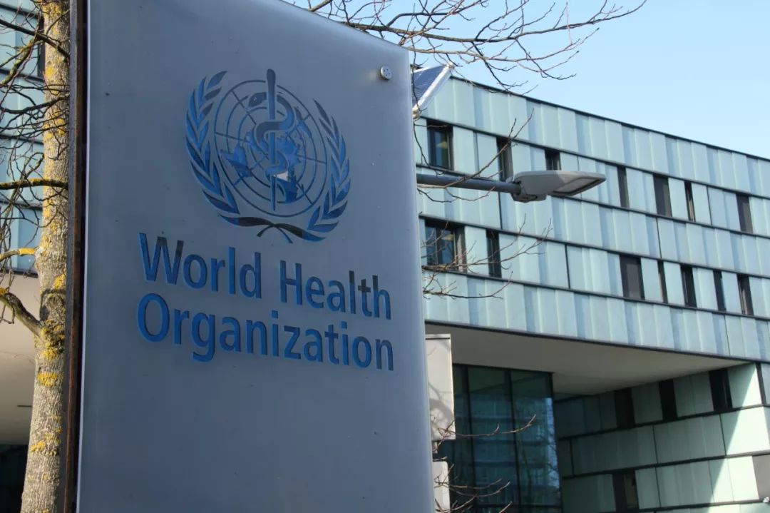 世卫发言人澄清“上调新型冠状病毒感染的肺炎疫情全球风险”