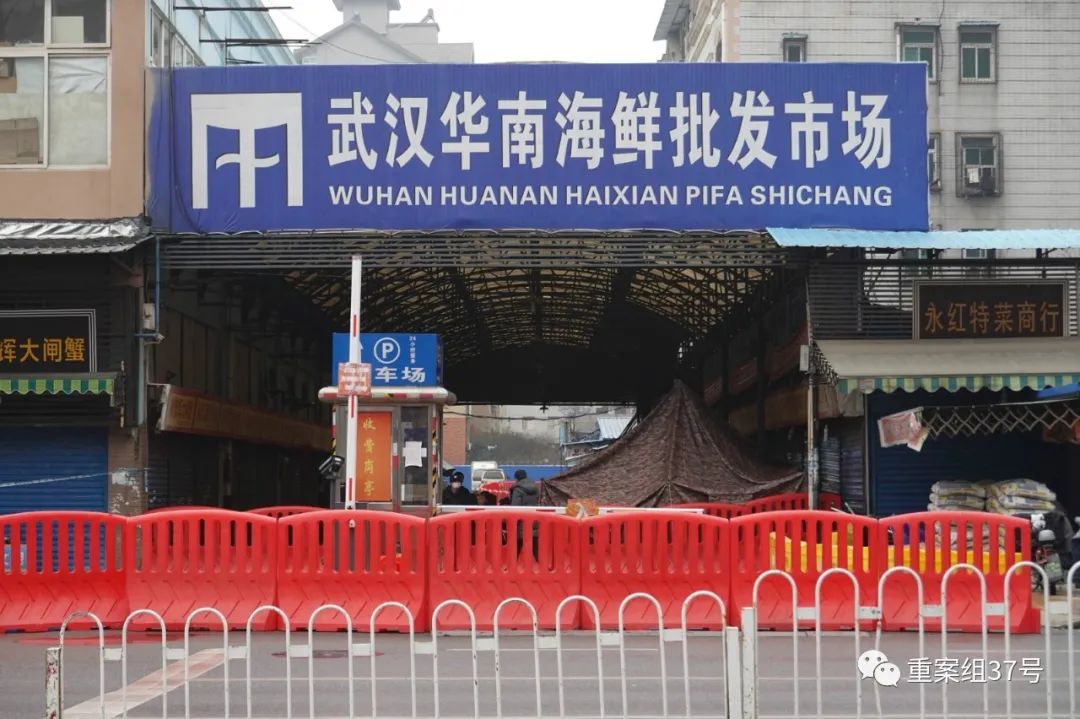新冠病毒发生基因突变,发源地、宿主仍待明确(图)
