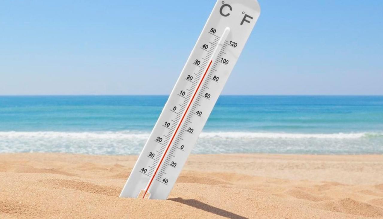 一秒入夏！本周末将迎高温天气