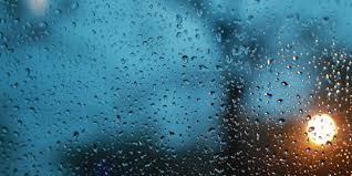 坎特伯雷部分地区降雨量达十年来最低水平
