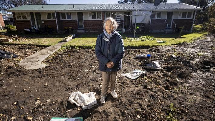 80岁华人移民菜地一朝被夷为平地，只因影响了一根晾衣绳