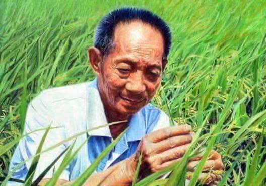袁隆平院士目前已入院