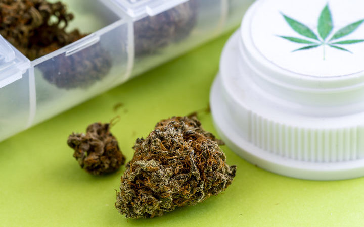 新西兰提升药用大麻产业竞争优势