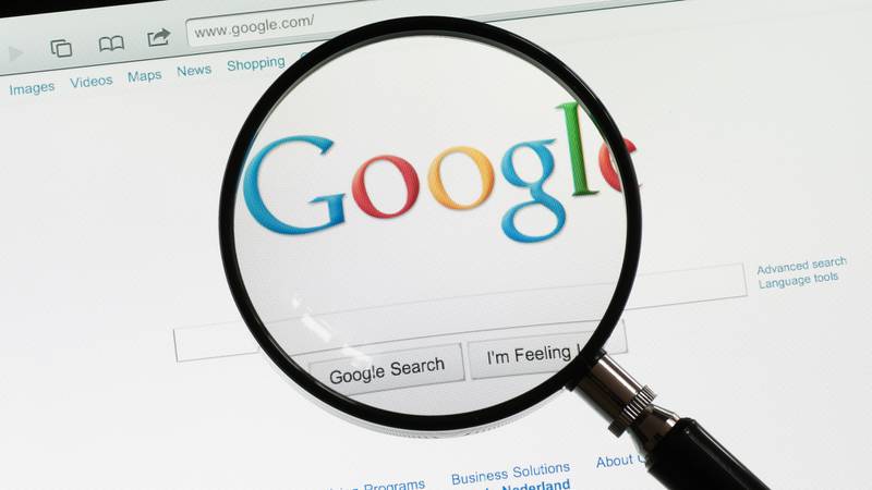 2021年新西兰最热门Google搜索结果揭晓