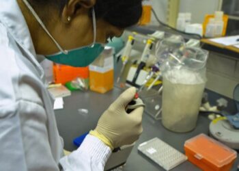 XE病毒变种进入新西兰，卫生专家呼吁进行更多变异病毒检测