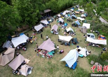 今年“五一”，国内旅游有点冷，露营很热