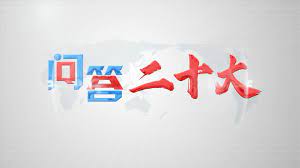 【问答二十大】中共组织体系的这三大机构是如何运转的？