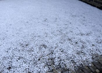 你那里下雪了吗？一觉醒来，基督城各处银装素裹