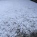 你那里下雪了吗？一觉醒来，基督城各处银装素裹