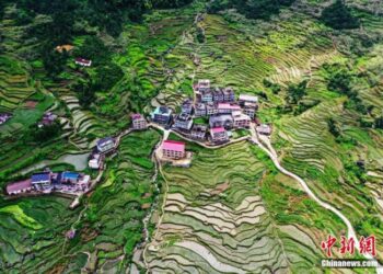 二十大将为世界提供中共治国理政最新样本