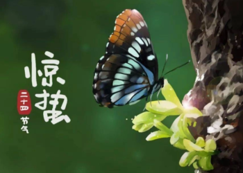 今日惊蛰，万物惊喜
