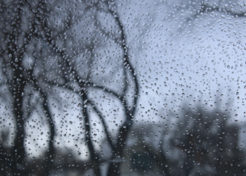 今晚零下! 本周难见阳光，阵雨不断，周四大风大雨来袭!