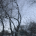 今晚零下! 本周难见阳光,阵雨不断,周四大风大雨来袭!