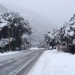 周中气温骤降,伴随降雪,温暖总是短暂