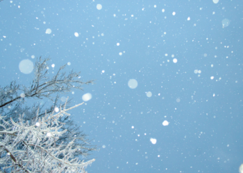 大风和大雪将席卷坎特伯雷！