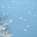 大风和大雪将席卷坎特伯雷！
