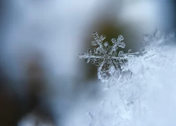 南岛本周还有降雪！滑雪爱好者抓住机会！
