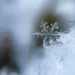 南岛本周还有降雪!滑雪爱好者抓住机会!
