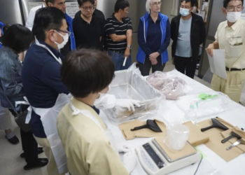 学者警告：核废水对生物危害或超预期！新西兰仍正常进口日本海产品