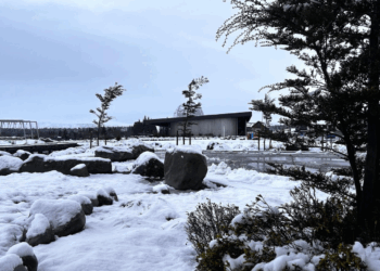 南岛旅游巴士车祸惊魂，3名中国游客受伤！市长呼吁改行程