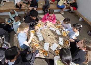 新西兰教育部招标3纽元小学午餐项目 目标削减成本与浪费